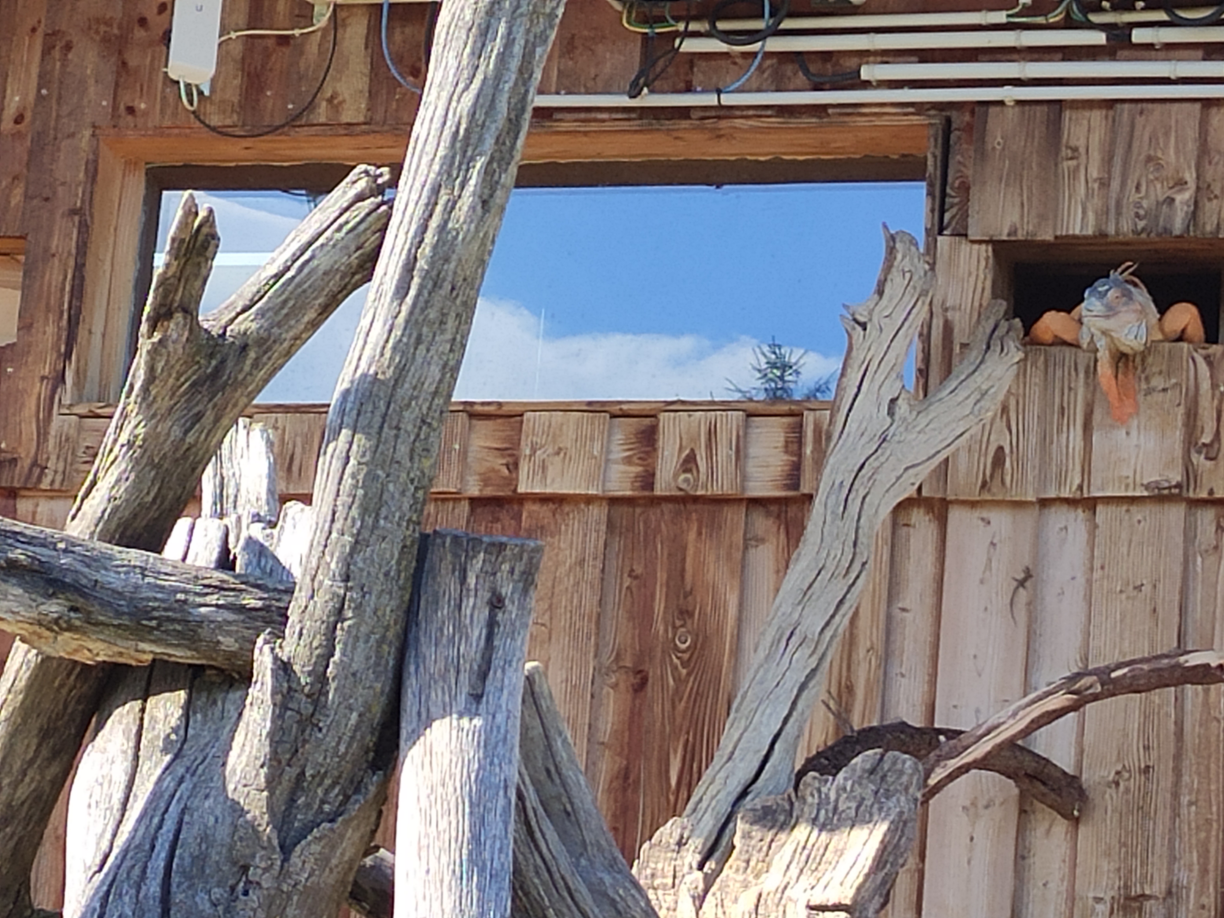 Photo n° 2 de l'avis de Sylvie.h fait le 20/08/2020 à 20:11