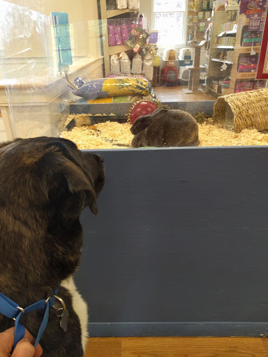 Pet Supply Store «Devine Feed And Pet», reviews and photos, 711 Main St, Norwell, MA 02061, USA