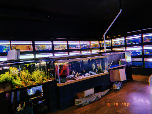 Pet Groomer «Edgewood Pet Center», reviews and photos, 3236 State Rd, Ashtabula, OH 44004, USA