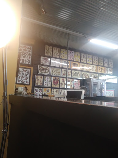 Tattoo Shop «Crawling Squid Tattoo Studio», reviews and photos, 2611 W Bethany Home Rd, Phoenix, AZ 85017, USA