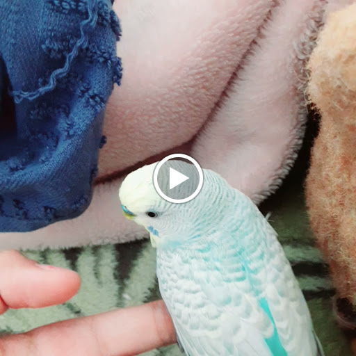 Pet Supply Store «Petco Animal Supplies», reviews and photos, 1255 Raritan Rd #140, Clark, NJ 07066, USA