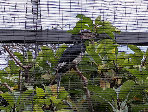 Insurance Agency «Rick Douglas - State Farm Insurance Agent», reviews and photos