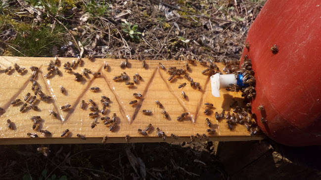 Tápióbicske, Kossuth Lajos utca 36, 2764