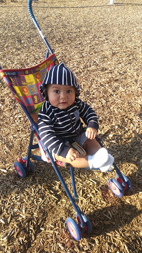 Park «Carl Knox, Jr. Park», reviews and photos, 1200 Susan Dr, Arlington, TX 76011, USA