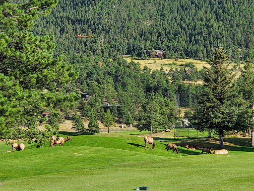 Golf Course «Estes Park Golf Course», reviews and photos, 1480 Golf Course Rd, Estes Park, CO 80517, USA