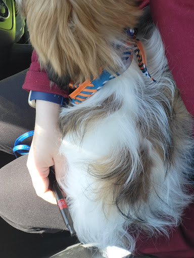 Pet Supply Store «PetSmart», reviews and photos, 1743 Stringtown Rd, Grove City, OH 43123, USA