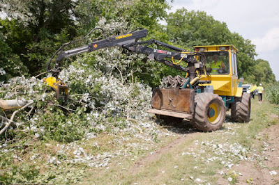 Office National des Forêts à Haguenau
