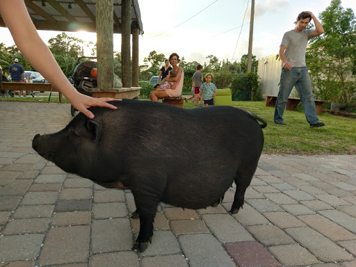 Winery «Sons & Daughters Farm and Winery», reviews and photos, 5926 Fearnley Rd, Lake Worth, FL 33467, USA