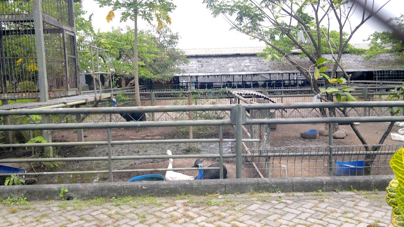 Taman Kebun Binatang Gudang Garam Kota Kediri