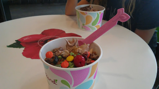 Frozen Yogurt Shop «Yogurtland», reviews and photos, 10500 Ulmerton Rd, Largo, FL 33771, USA