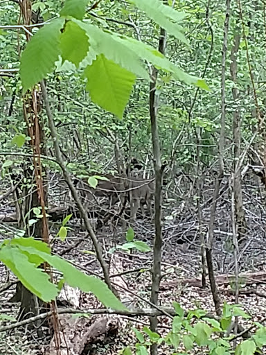 Park «Big Creek Park», reviews and photos, 1600 Old Alabama Rd, Roswell, GA 30076, USA