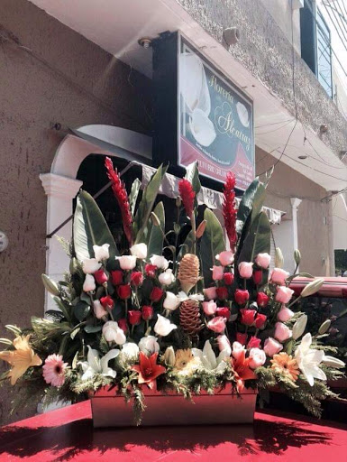 Distribuidora floral Abasolo