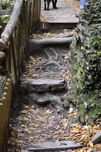 Pet Store «Abrams and Weakley General Store for Animals», reviews and photos, 3963 N 6th St, Harrisburg, PA 17110, USA