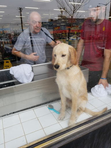 Pet Supply Store «Petco Animal Supplies», reviews and photos, 157-20 Cross Bay Blvd, Howard Beach, NY 11414, USA