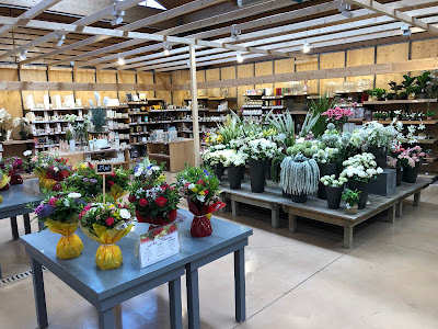 botanic® Brétigny à Brétigny-sur-Orge