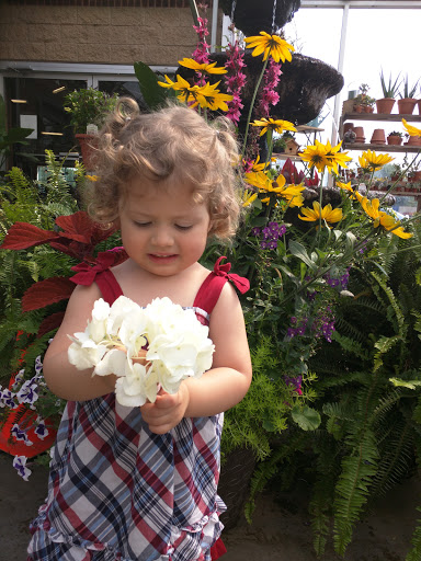 Florist «Forest Lake Floral, Gift & Garden», reviews and photos, 508 Lake St S, Forest Lake, MN 55025, USA