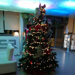 Photo n°2 de l'avis de Rosalia.u fait le 09/01/2022 à 22:09 sur le  San Ranieri Hotel à Pisa