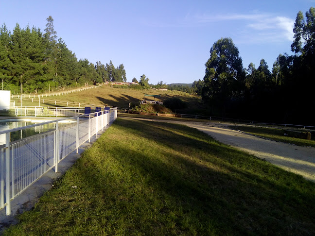 Opiniones de Camping y Piscinas El Aura. en Tomé - Camping