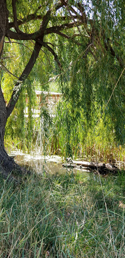 Nature Preserve «Gateway Lakes Natural Area», reviews and photos, 28th Street, Greeley, CO 80634, USA