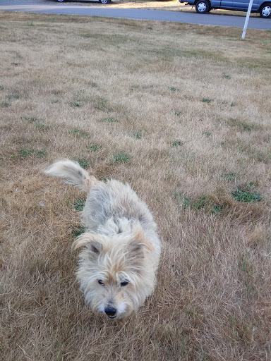 Park «Meridian Habitat Park & Community Center», reviews and photos, 14422 Meridian E, Puyallup, WA 98375, USA