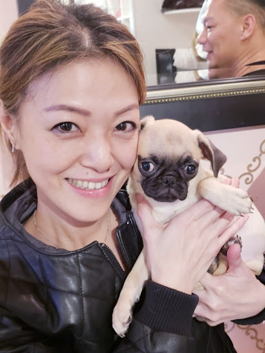 Pet Store «Puppy Boutique Store», reviews and photos, 4001 N Federal Hwy, Fort Lauderdale, FL 33308, USA