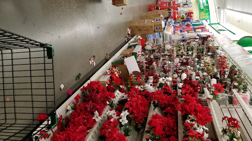 Dollar Store «Dollar Tree», reviews and photos, 3021 Skyway Ct, Fremont, CA 94539, USA