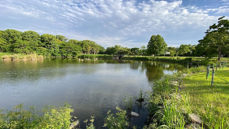 森林公園自然池