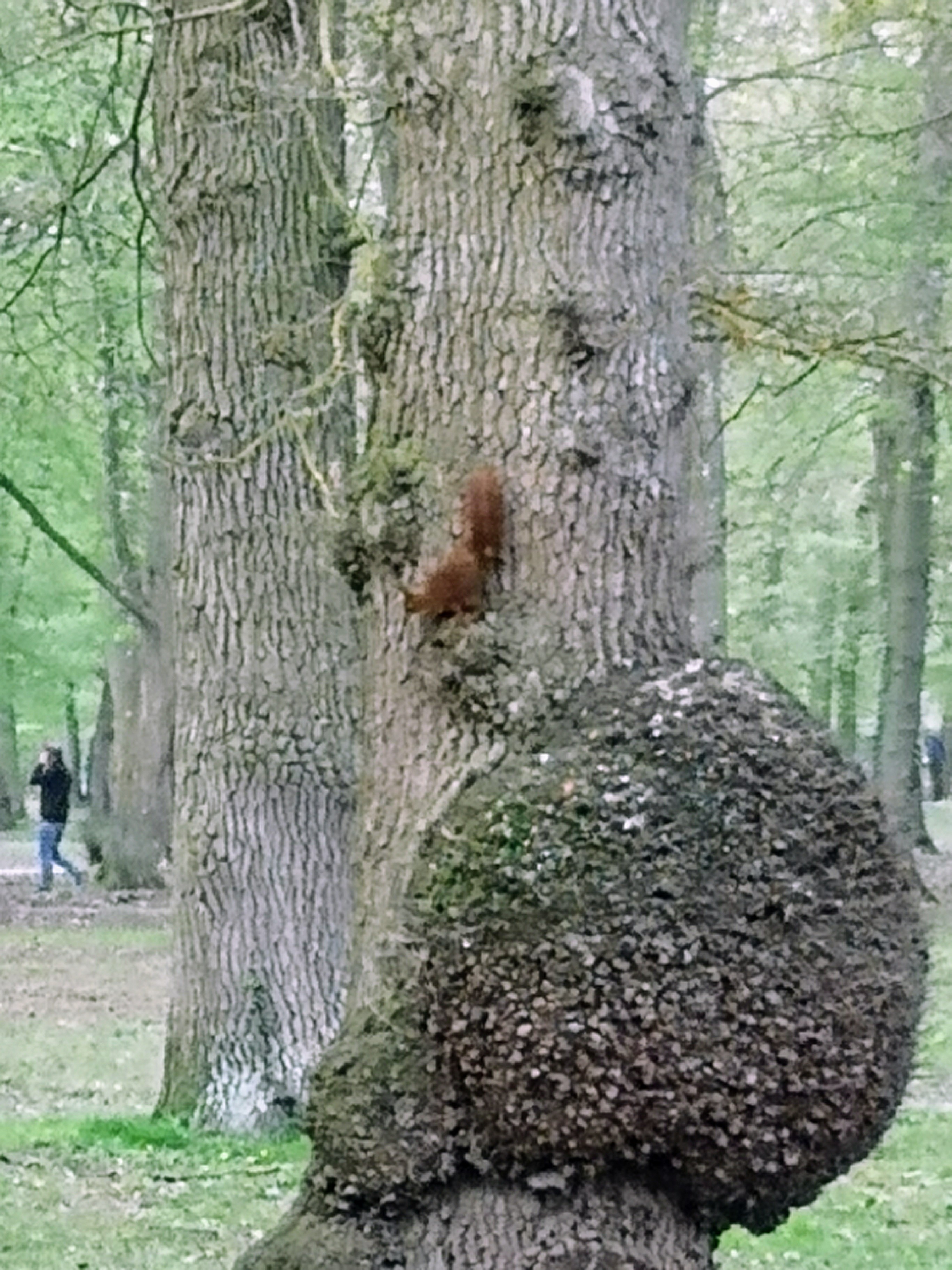 Photo n° 1 de l'avis de BERNADETTE.H fait le 16/08/2019 à 20:14