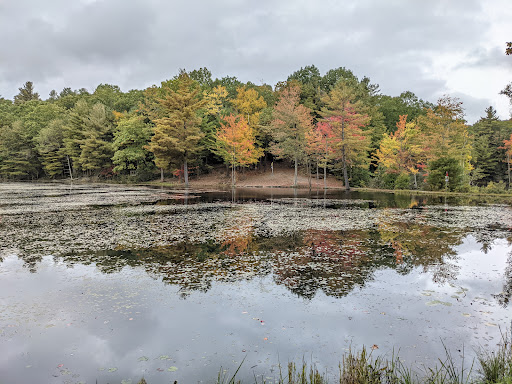 Outdoor Sports Store «Maple Hill Disc Golf», reviews and photos, 132 Marshall St, Leicester, MA 01524, USA