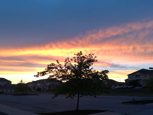 Coffee Shop «Starbucks», reviews and photos, 8467 Mason Montgomery Rd, Mason, OH 45040, USA