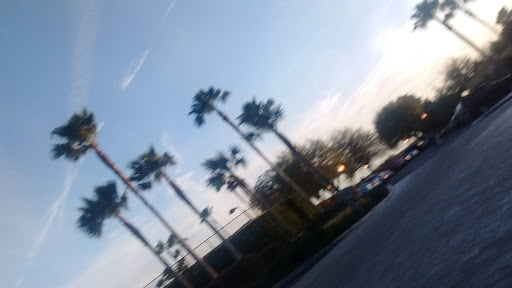 Golf Course «Skyview Golf Course», reviews and photos, 2100 N Terra Vista Blvd, Hernando, FL 34442, USA