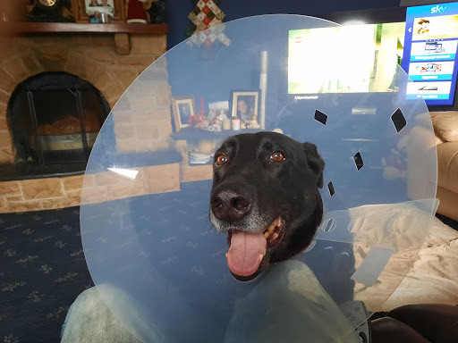 Glenina Veterinary Clinic