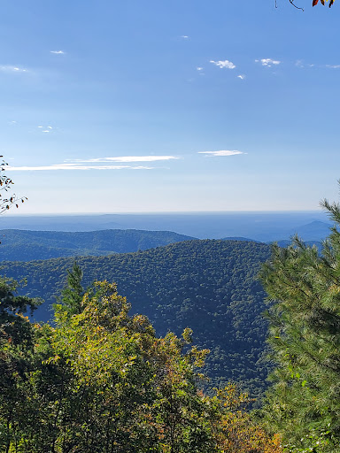 Tray Mountain/ Appalachian Trail