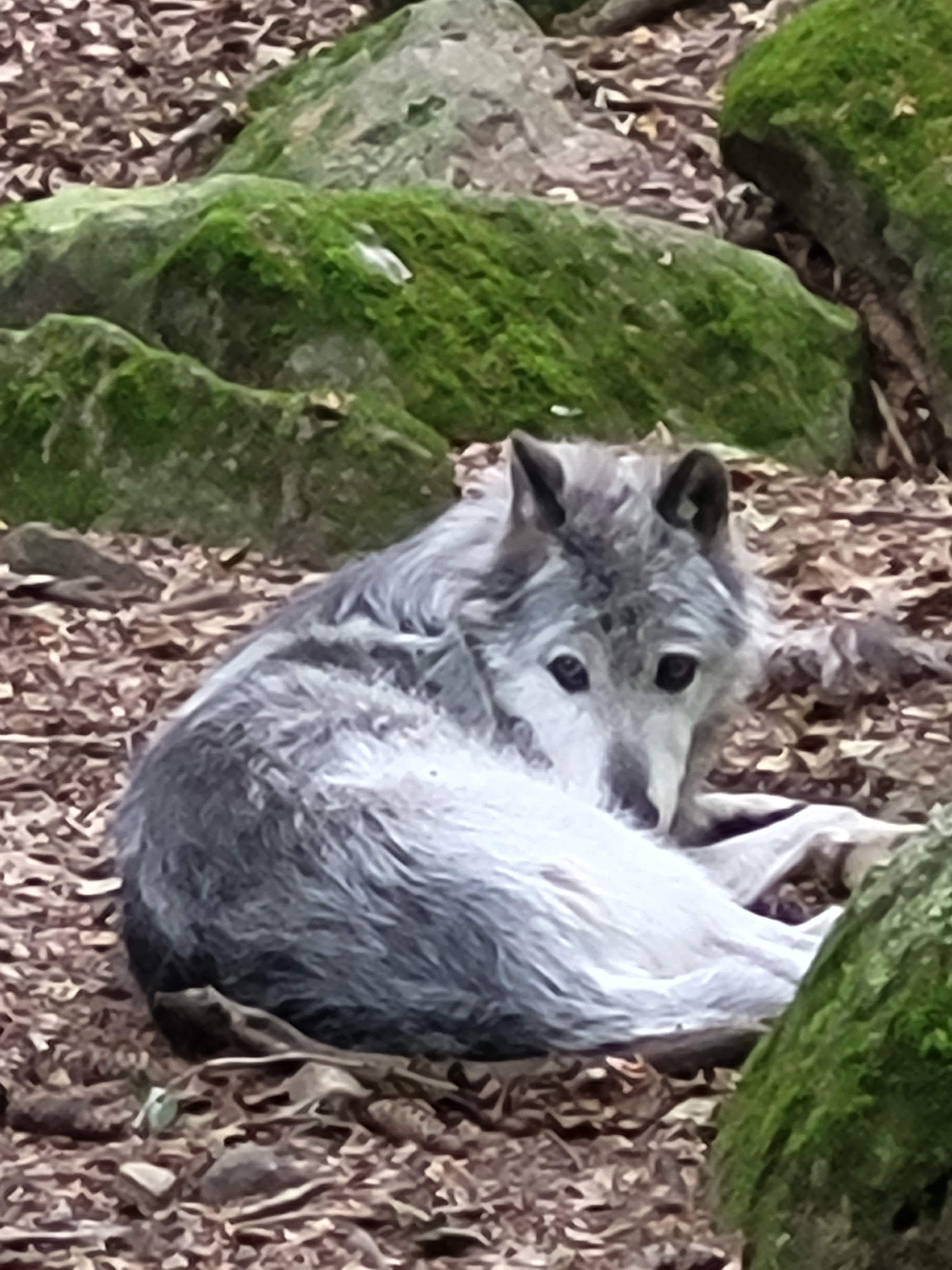 Photo n° 2 de l'avis de David.e fait le 18/07/2023 à 17:29