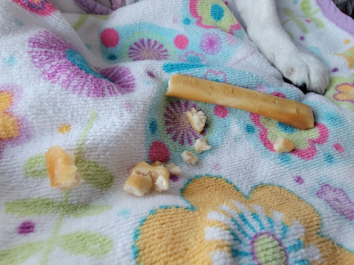 Pet Supply Store «Concord Pet Foods & Supplies», reviews and photos, 19287 Miller Rd, Rehoboth Beach, DE 19971, USA