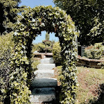 Photo n°15 de l'avis de Manumax5451. fait le 25/07/2021 à 16:13 sur le  Ristorante La Tenuta del Sole à Fontaneto d'Agogna