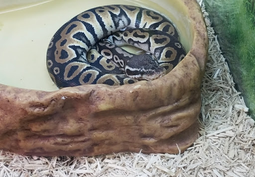 Pet Supply Store «Pet Food Center», reviews and photos, 4036 N First Ave, Evansville, IN 47710, USA