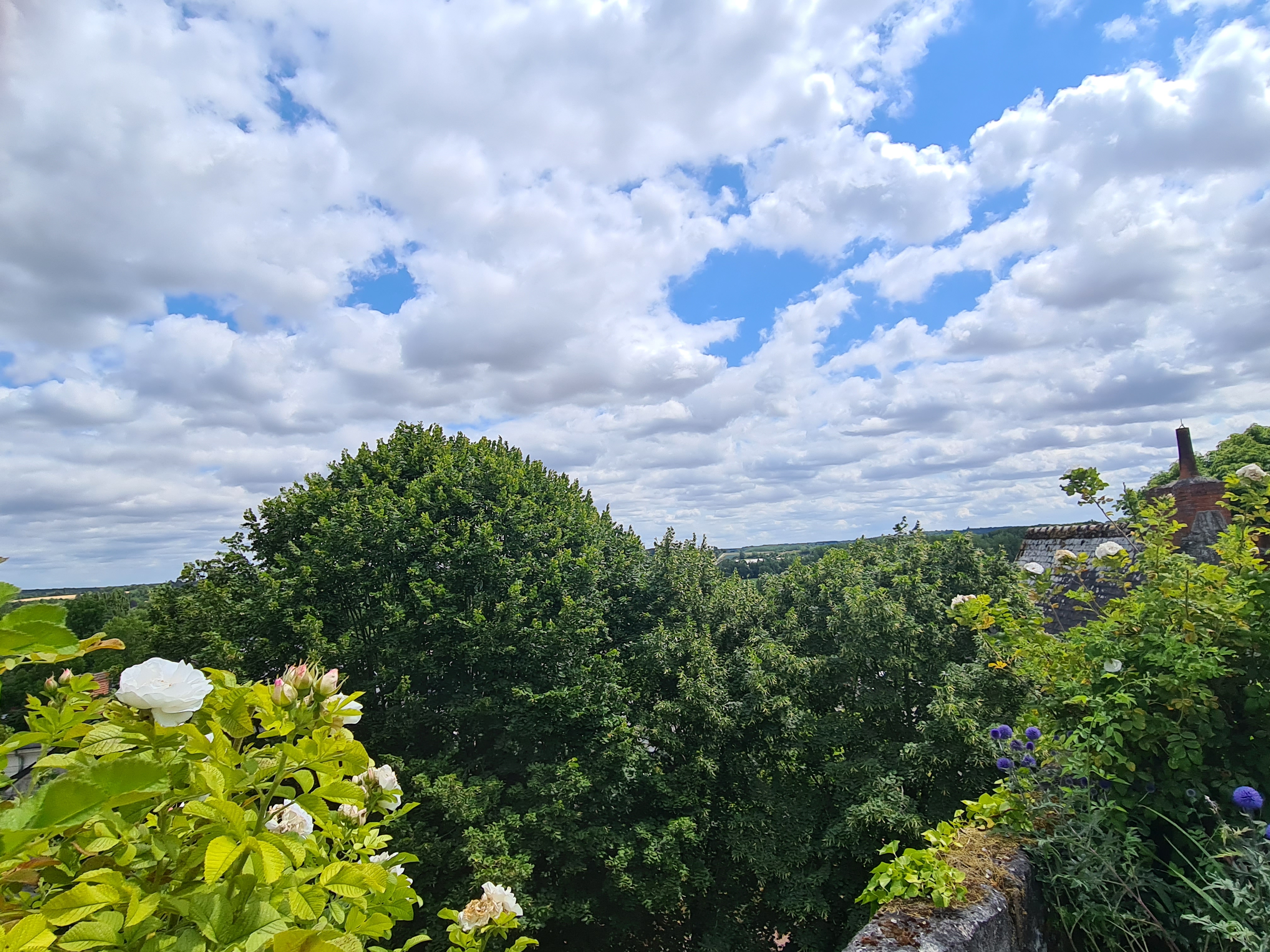 Photo n° 24 de l'avis de Marie. fait le 21/07/2023 à 17:40