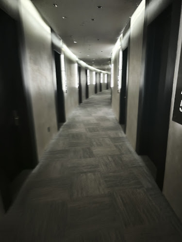 https://www.panamericanahoteles.cl/