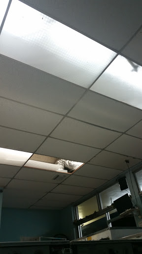 Laundromat «Coin Laundry Maria», reviews and photos, 5728 Royal Palm Blvd, Margate, FL 33063, USA