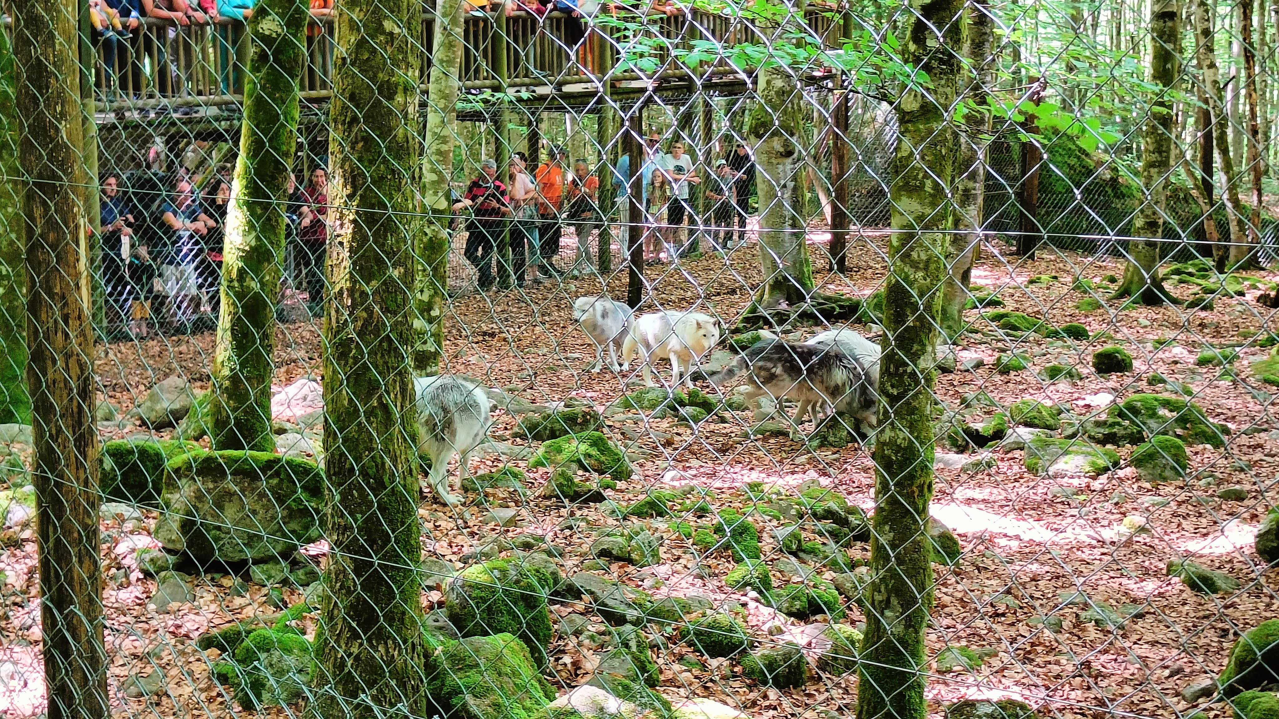 Photo n° 10 de l'avis de Nadège.N fait le 31/05/2022 à 18:17