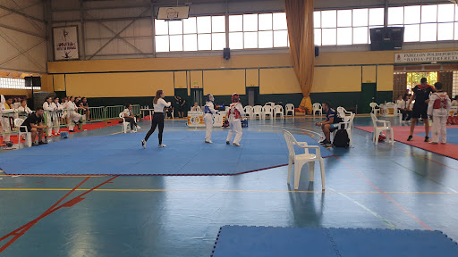 Pavelló Poliesportiu Sara Moreno i Vicente Lli en Moncada, Valencia