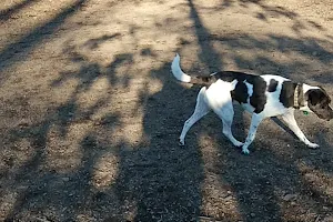 Southern Community Dog Park image