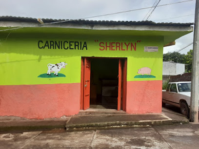 CARNICERÍA SHERLYN - Gral. Sánchez Tapia Esquina V. Guerrero COL, Centro, 60570 Aguililla, Mich., Mexico