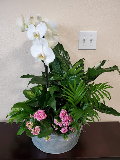 Florist «McShan Florist, Inc.», reviews and photos, 10311 Garland Rd, Dallas, TX 75218, USA