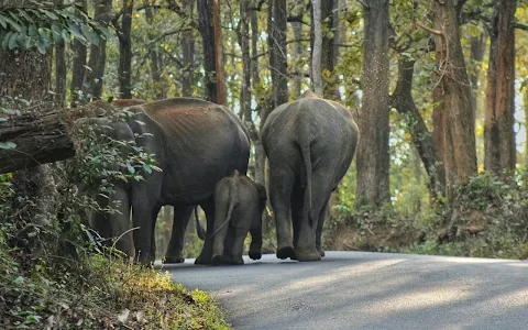 Muthanga Wildlife Santuary image