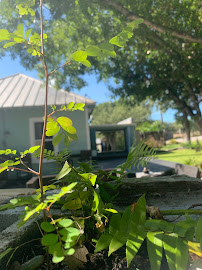 Palm Sport and Wellness & Palm Halo Cave (Salt therapy) Palm Skin Care and Facials - Photo 9 - Car repair in Fort Pierce, FL, Port St. Lucie