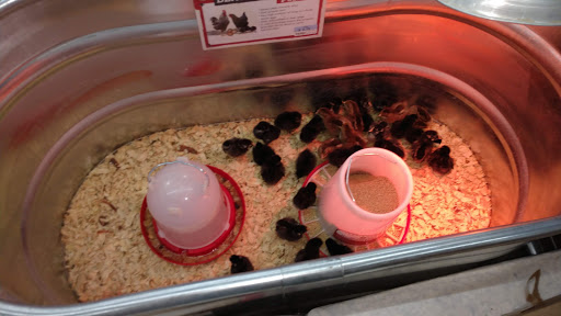 Home Improvement Store «Tractor Supply Co.», reviews and photos, 3400 Moody Pkwy, Moody, AL 35004, USA