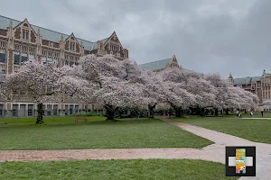 The Quad - University of Washington image