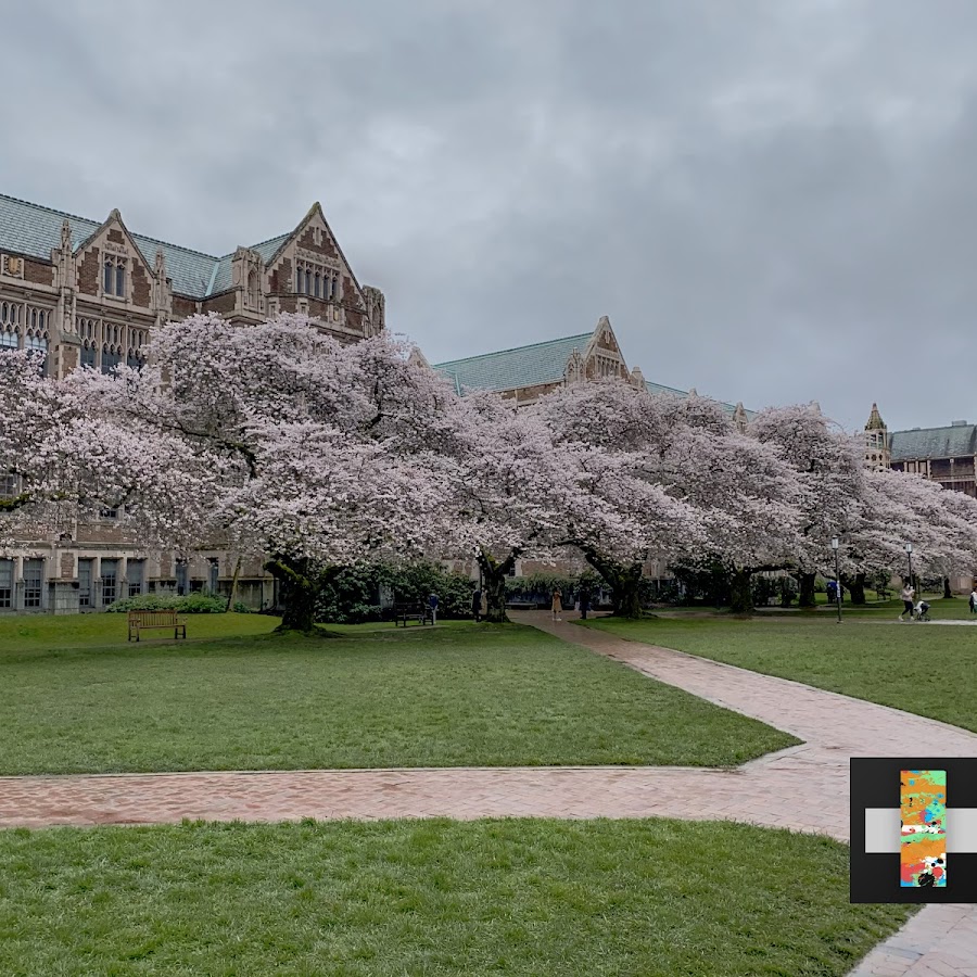 The Quad – University of Washington